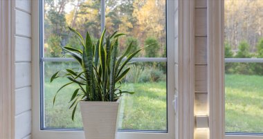 Büyük pencereli, yüksek tavanlı, beyaz ahşap zeminli parlak fotoğraf stüdyosu.