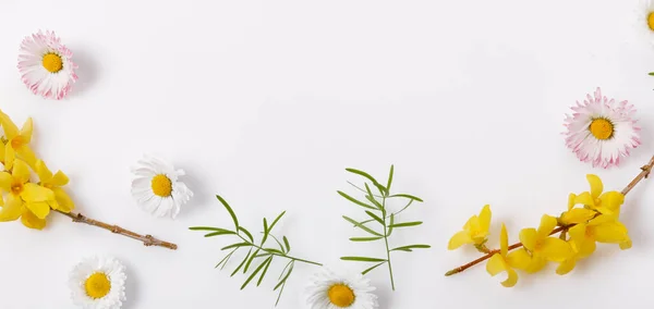 Lente frame van kleine bloemen en madeliefje, bloemstuk — Stockfoto