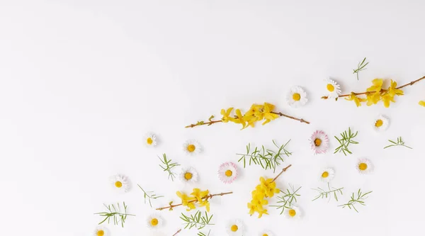 Marco de primavera de pequeñas flores y margaritas, arreglo floral — Foto de Stock