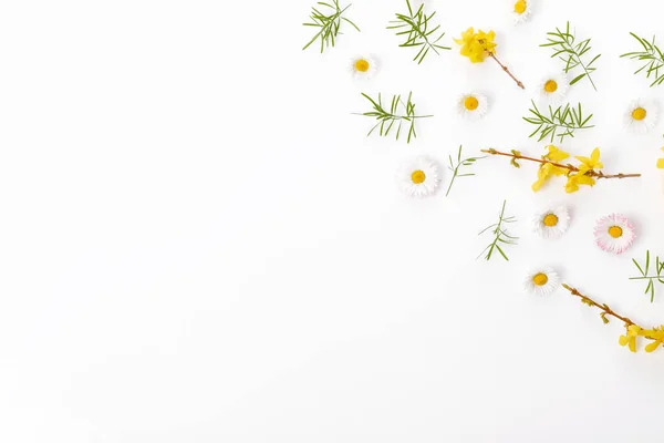 Marco de primavera de pequeñas flores y margaritas, arreglo floral — Foto de Stock