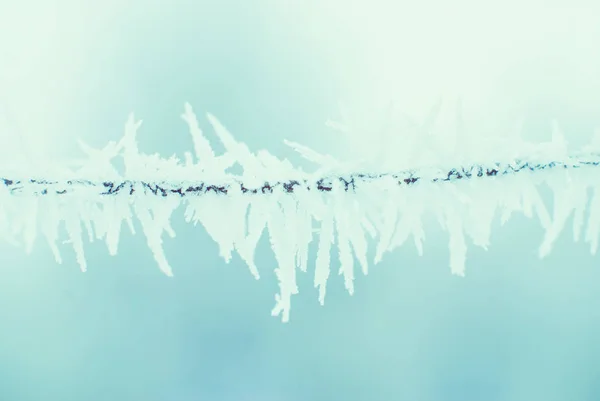 Fondo abstracto de invierno - Frosty Snowy — Foto de Stock