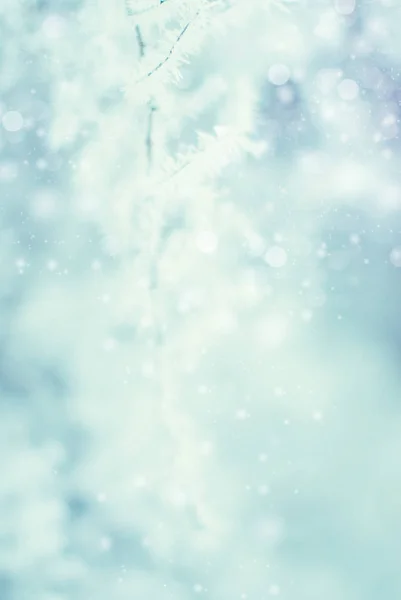 Fundo abstrato de inverno - Frosty Snowy — Fotografia de Stock