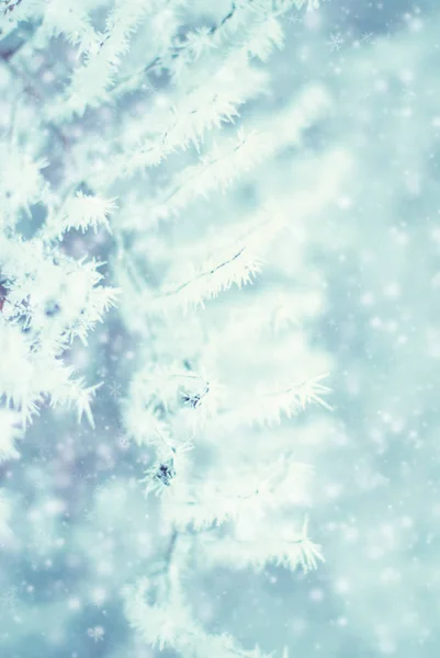 Fondo abstracto de invierno - Frosty Snowy — Foto de Stock