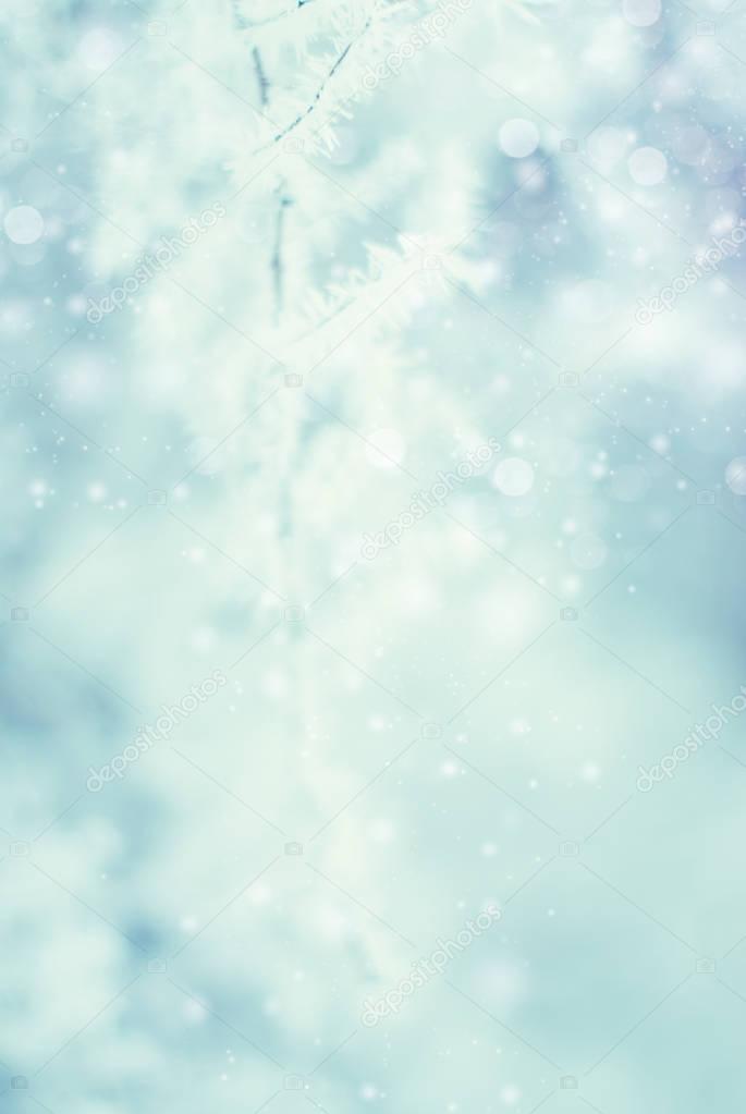 Winter Abstract Background - Frosty Snowy