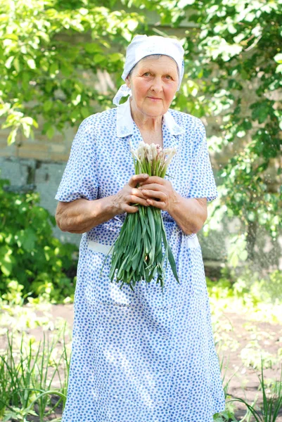 Ηλικιωμένη γυναίκα που εργάζεται στον κήπο. — Φωτογραφία Αρχείου