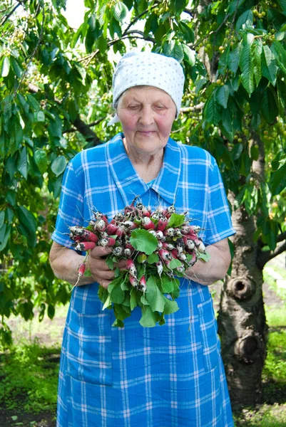 Senior kvinna som arbetar i trädgården. — Stockfoto