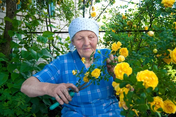 Oudere vrouw die in de tuin werkt. — Stockfoto