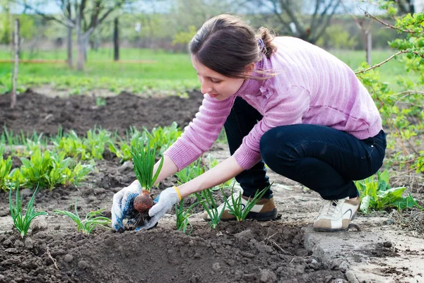 정원에서 일 하는 젊은 여자. — 스톡 사진