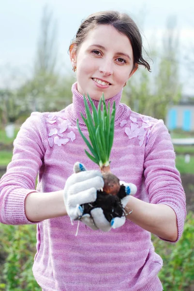 Mujer joven trabajando en el jardín . —  Fotos de Stock