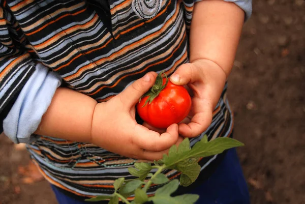 Niño en el jardín —  Fotos de Stock