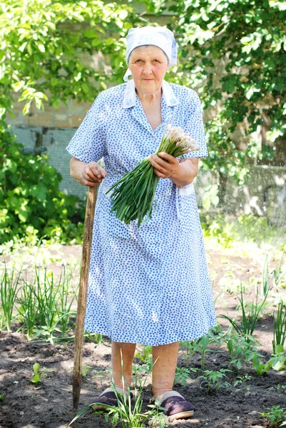 Femme âgée travaillant dans le jardin. — Photo