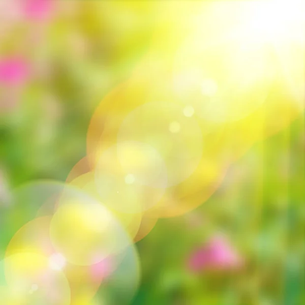 夏の自然の背景 — ストック写真