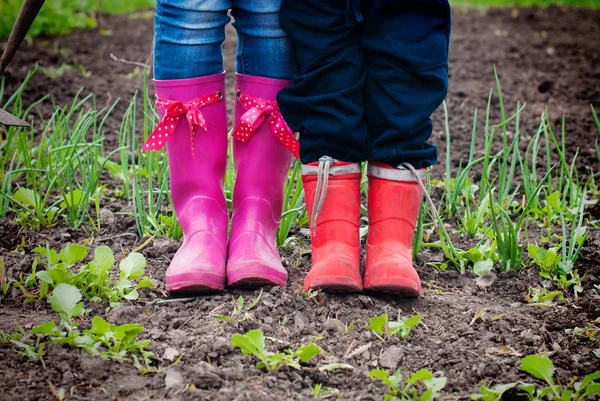 Familie arbeitet im Garten. — Stockfoto