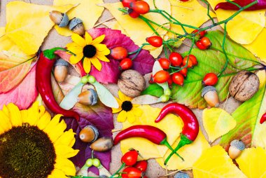 Doğal elemanları ile botanik arka plan