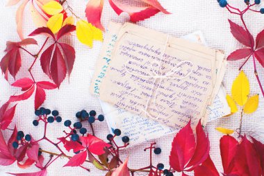 Doğal elemanları ve çerçeve ile sonbahar arka plan