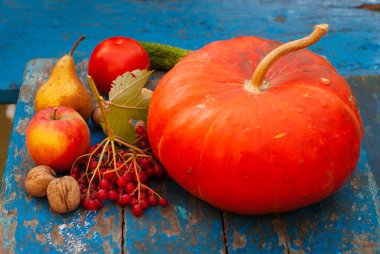 Kabak fındık kartopu ve mavi ahşap arka plan - sonbahar kırsal hasat meyve