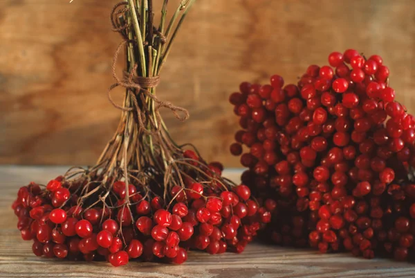 Bacche di Viburnum sullo sfondo di legno - Raccolta Autunno Campagna — Foto Stock