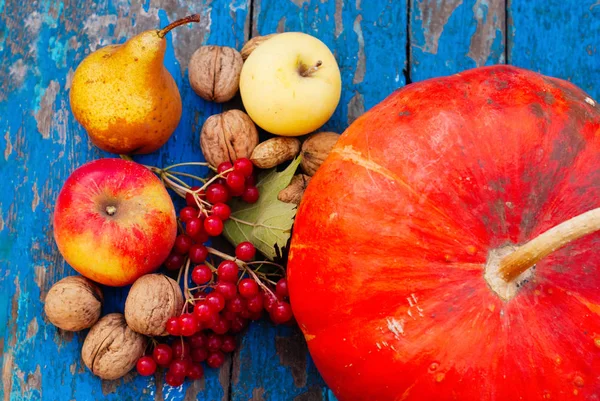 Kürbisnüsse viburnum und Früchte auf blauem Holzgrund - Herbsternte auf dem Land — Stockfoto