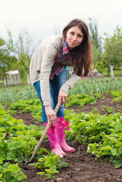 Trädgårdsmästaren plantera greener på bakgård — Stockfoto