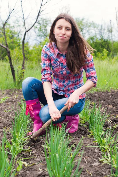 Trädgårdsmästaren plantera greener på bakgård — Stockfoto