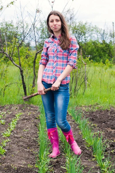 Jardineiro plantando verduras no quintal — Fotografia de Stock