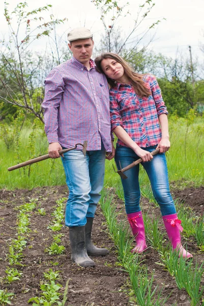 Gardeners planting greens at back yard — Stock Photo, Image