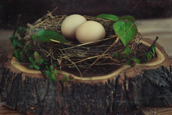 Ovos no ninho em fundo de madeira rústica — Fotografia de Stock