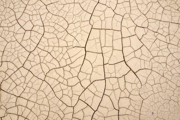 Dry cracked earth — Stock Photo, Image