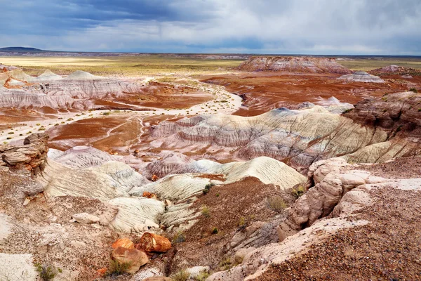 Parque Nacional Florestal Petrificado no Arizona — Fotografia de Stock