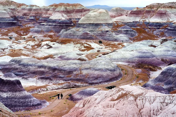条纹的紫色砂岩地层 — 图库照片