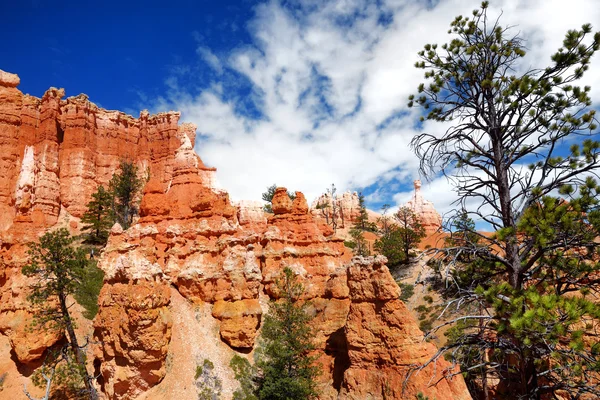 Impresionantes hoodoos de piedra arenisca roja —  Fotos de Stock