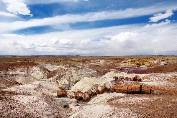 Národní park Petrified forest v Arizoně — Stock fotografie