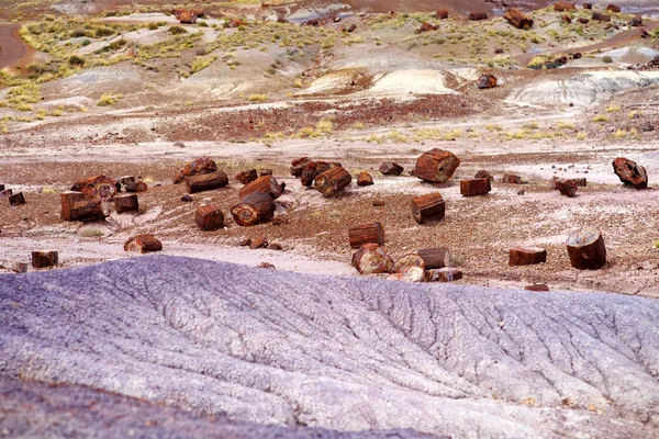 Parque Nacional Florestal Petrificado no Arizona — Fotografia de Stock