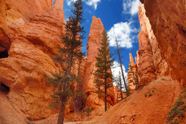 Lenyűgöző vörös homokkő hoodoos — Stock Fotó