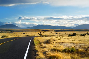Arizona Çölü'nde sonsuz dalgalı yol 