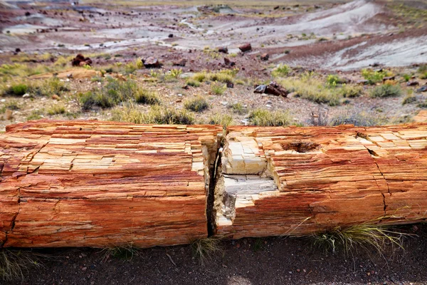 Parque Nacional Florestal Petrificado no Arizona — Fotografia de Stock