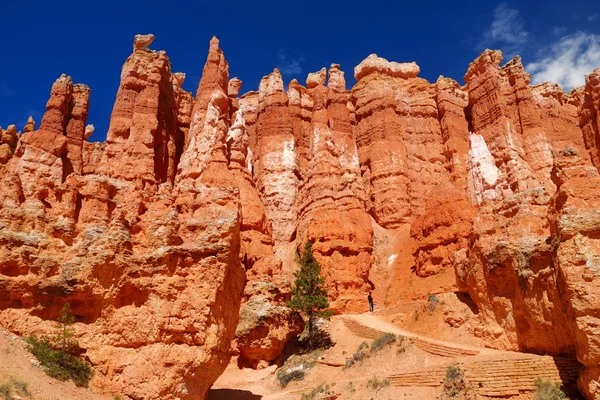 Lenyűgöző vörös homokkő hoodoos — Stock Fotó