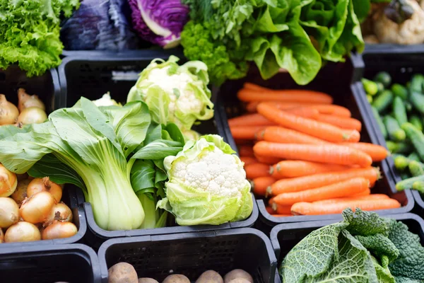 Fresh organic vegetables at market — Stock fotografie