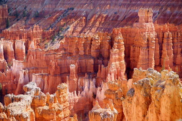 멋진 붉은 사암 바위 — 스톡 사진