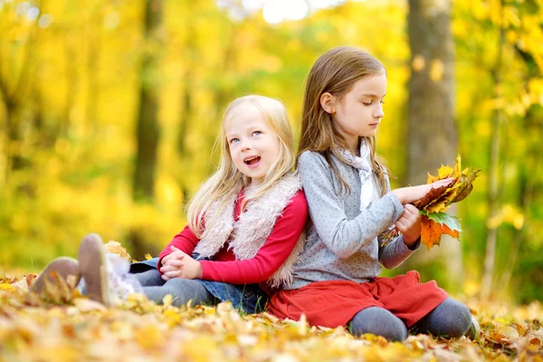 Dos hermanas pequeñas en el parque de otoño — Foto de Stock