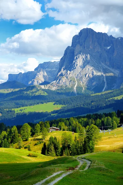 Seiseralm mit felsigen Bergen im Hintergrund — Stockfoto