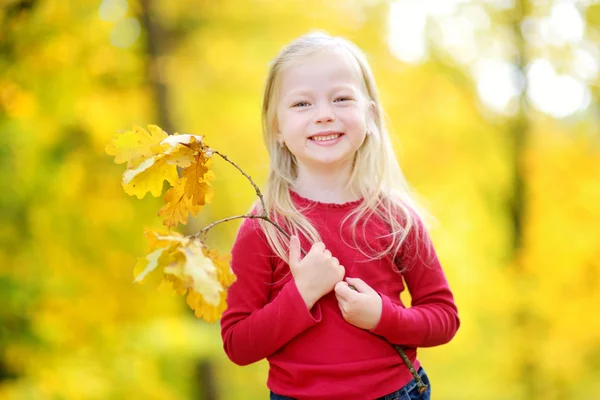Sonbahar parkında küçük şirin bir kız. — Stok fotoğraf