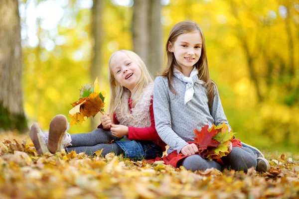 Две младшие сестры в осеннем парке — стоковое фото