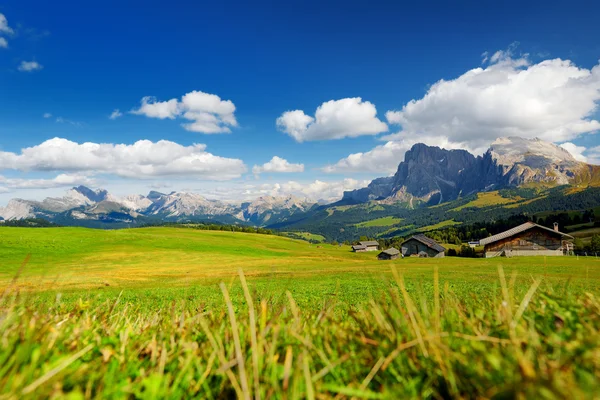 Majestic rocky mountains in Alpe di Siusi — Stock Photo, Image