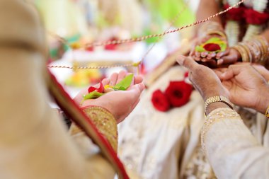 Şaşırtıcı hindu düğün töreni. Geleneksel Hint düğün detayları.