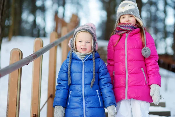 Dwa urocze śmieszne małe siostry w winter park — Zdjęcie stockowe