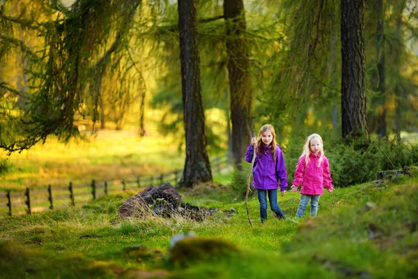 Deux drôles de petites sœurs s'amusent pendant la randonnée en forêt le beau jour d'automne — Photo