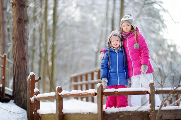 Dwa urocze śmieszne małe siostry w winter park — Zdjęcie stockowe