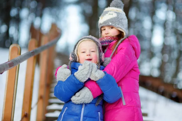 Dwa urocze śmieszne małe siostry w winter park — Zdjęcie stockowe