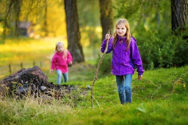 Twee grappige kleine zusters plezier tijdens bos wandelen op mooie herfstdag — Stockfoto